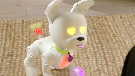 dog e robot lights